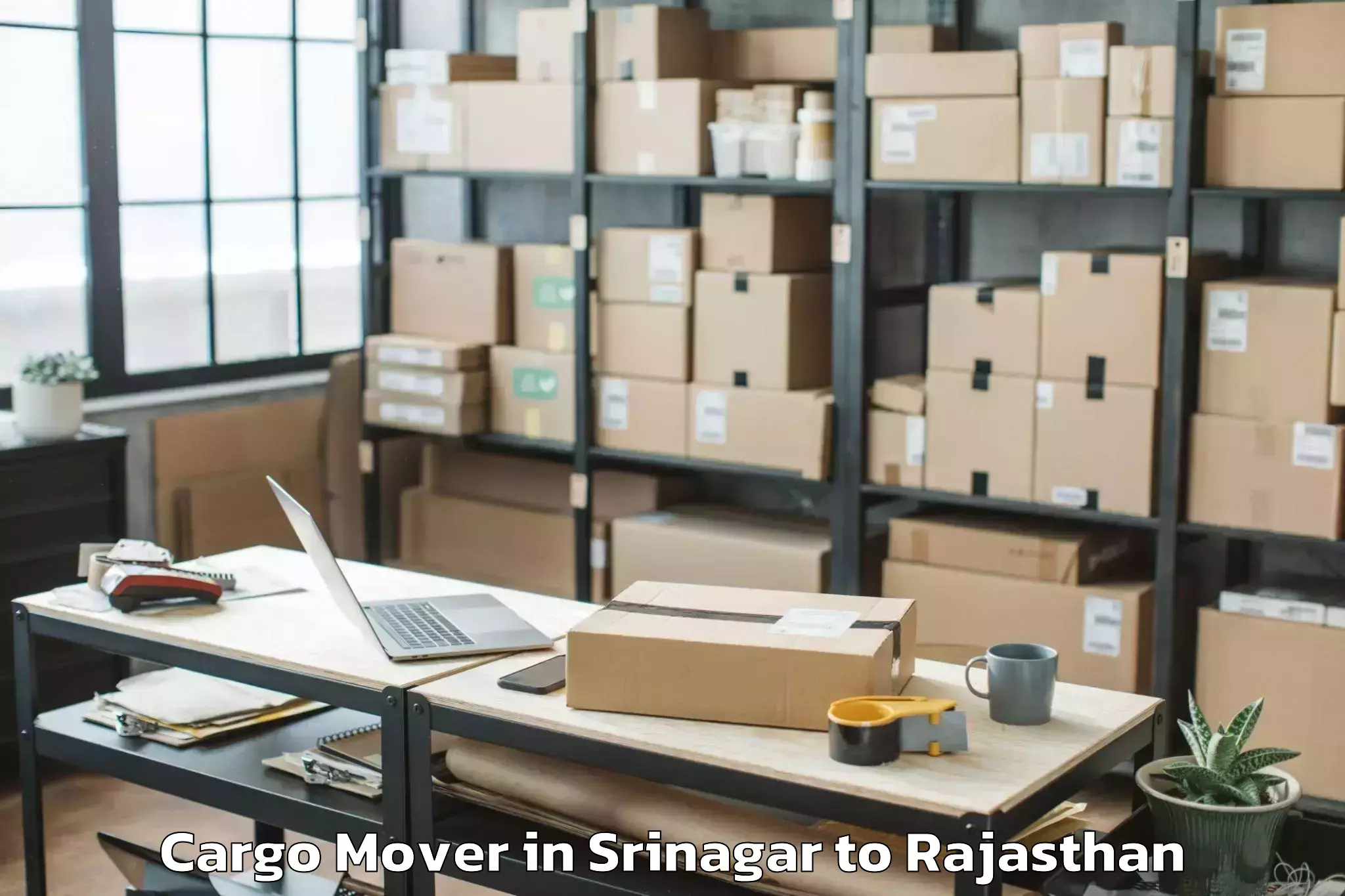 Easy Srinagar to Jayoti Vidyapeeth Womens Unive Cargo Mover Booking